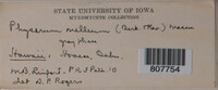 Image Associated With the Occurence